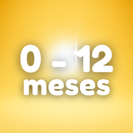 0 - 12 meses